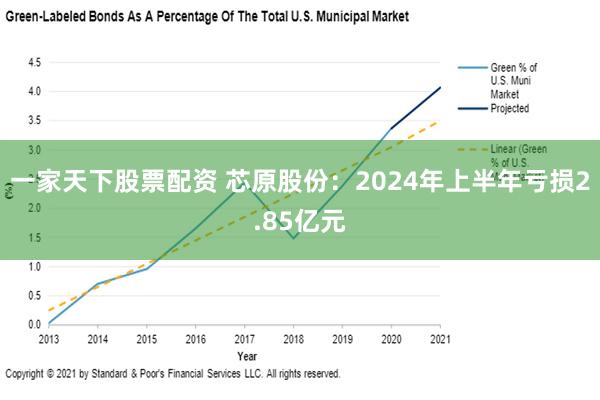 一家天下股票配资 芯原股份：2024年上半年亏损2.85亿元