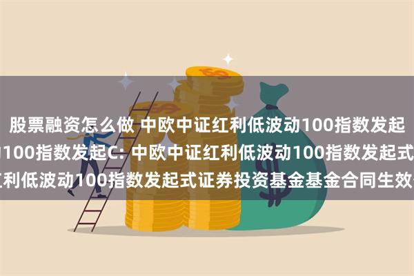 股票融资怎么做 中欧中证红利低波动100指数发起A,中欧中证红利低波动100指数发起C: 中欧中证红利低波动100指数发起式证券投资基金基金合同生效公告