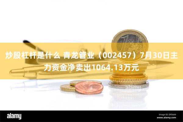 炒股杠杆是什么 青龙管业（002457）7月30日主力资金净卖出1064.13万元