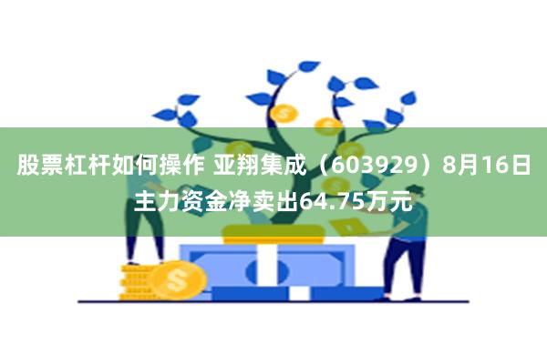 股票杠杆如何操作 亚翔集成（603929）8月16日主力资金净卖出64.75万元