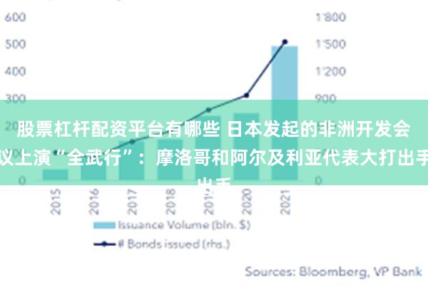 股票杠杆配资平台有哪些 日本发起的非洲开发会议上演“全武行”：摩洛哥和阿尔及利亚代表大打出手