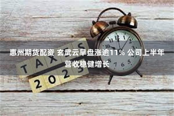 惠州期货配资 玄武云早盘涨逾11% 公司上半年营收稳健增长