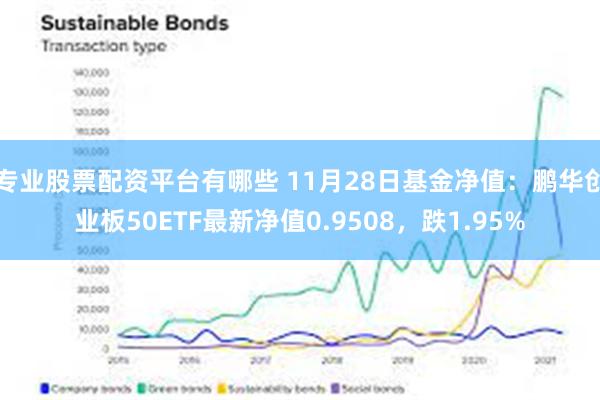 专业股票配资平台有哪些 11月28日基金净值：鹏华创业板50ETF最新净值0.9508，跌1.95%