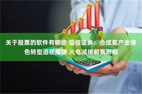 关于股票的软件有哪些 国信证券：合成氨产业绿色转型迫在眉睫 火电减排前景可期