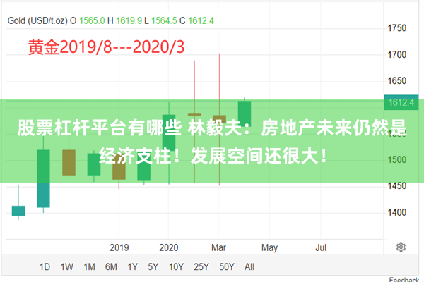 股票杠杆平台有哪些 林毅夫：房地产未来仍然是经济支柱！发展空间还很大！