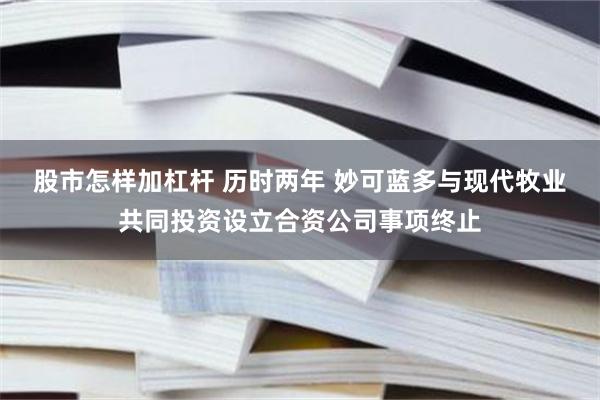 股市怎样加杠杆 历时两年 妙可蓝多与现代牧业共同投资设立合资公司事项终止