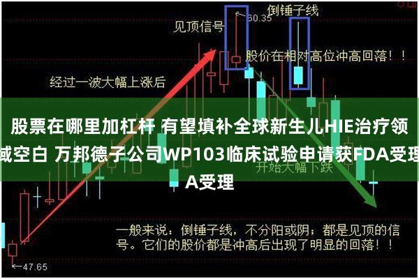 股票在哪里加杠杆 有望填补全球新生儿HIE治疗领域空白 万邦德子公司WP103临床试验申请获FDA受理