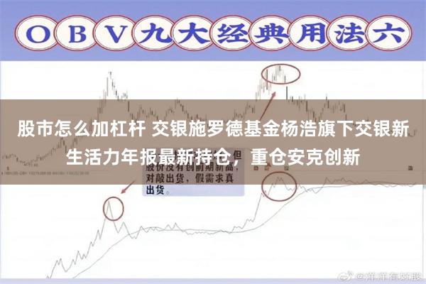 股市怎么加杠杆 交银施罗德基金杨浩旗下交银新生活力年报最新持仓，重仓安克创新